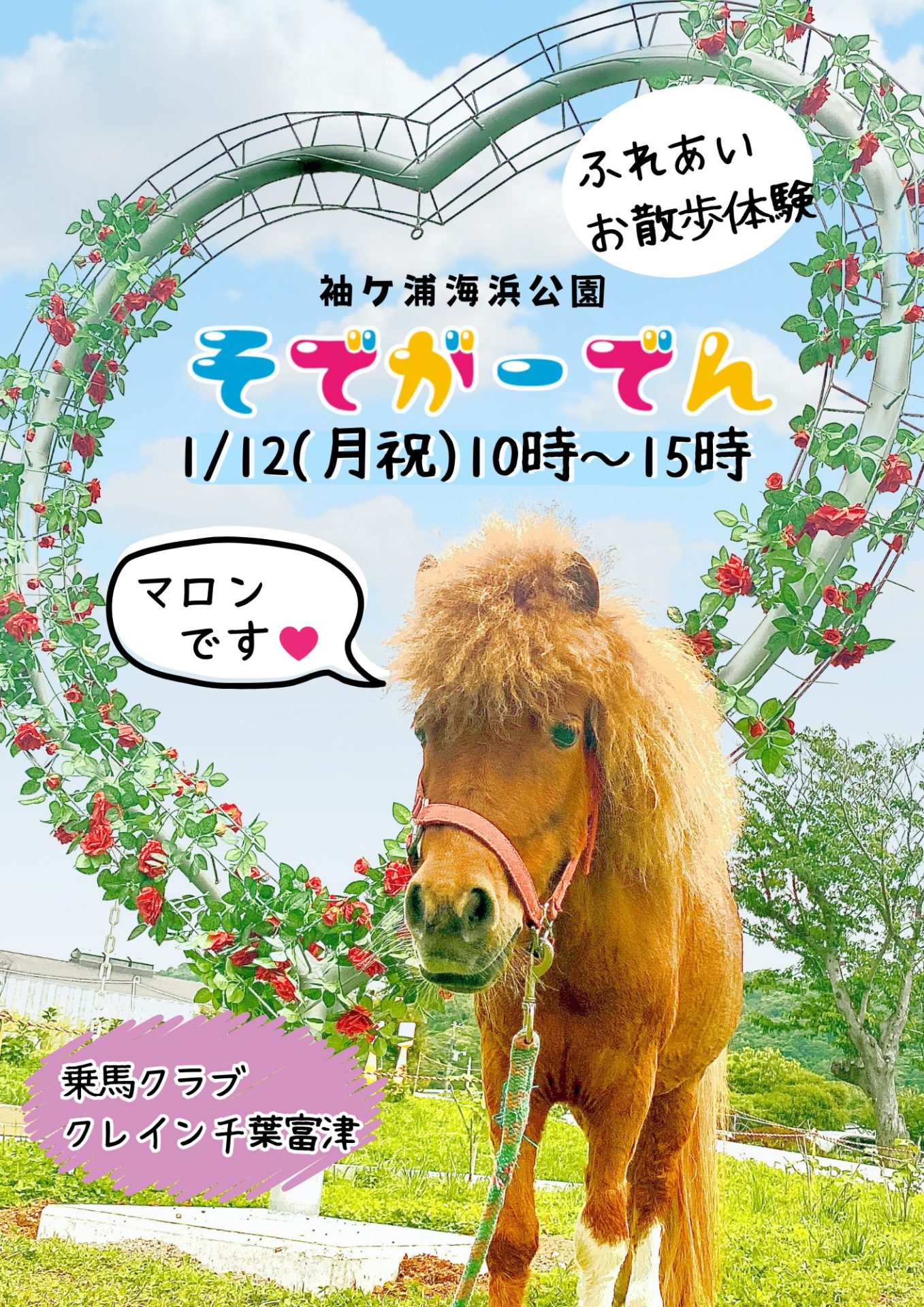 1/12(月・祝) イベント開催のご案内(袖ケ浦海浜公園) | 東急グリーン
